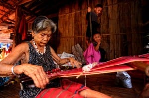 โครงการหลวงแม่สะป๊อก (1)