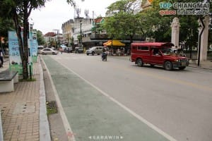 tree-king-chiangmai (9)