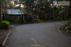 จุดชมวิวหลังดอยปุย - ดอยปุย (2)