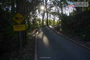 จุดชมวิวหลังดอยปุย - ดอยปุย (3)