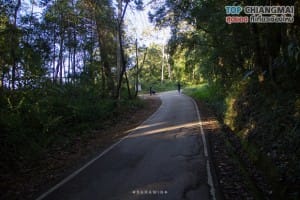 จุดชมวิวหลังดอยปุย - ดอยปุย (4)