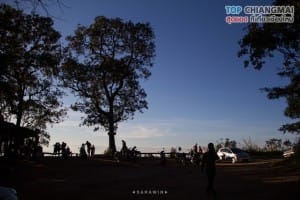 จุดชมวิวหลังดอยปุย - ดอยปุย (5)