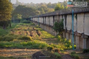 บ้านเหมืองผ่า - แม่ริม (11)