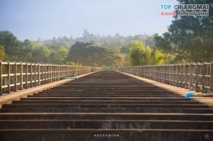 บ้านเหมืองผ่า - แม่ริม (9)