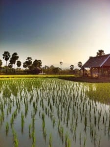 Small Farm Chiang Mai - สมอลล์ฟาร์ม รีสอร์ท (3)