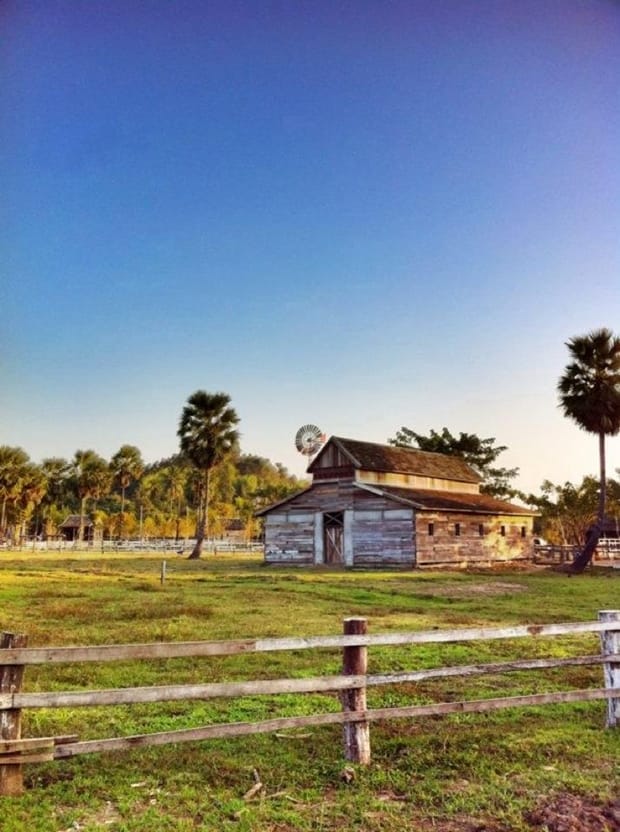 Small Farm Chiang Mai - สมอลล์ฟาร์ม รีสอร์ท (4)