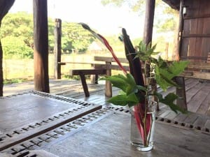 Small Farm Resort (6)