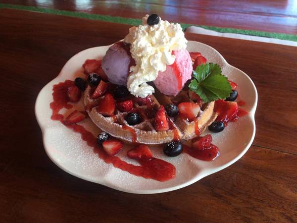 grand-berry-garden (10)