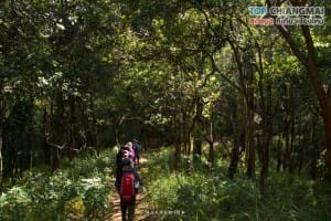 ดอยหลวง (3)