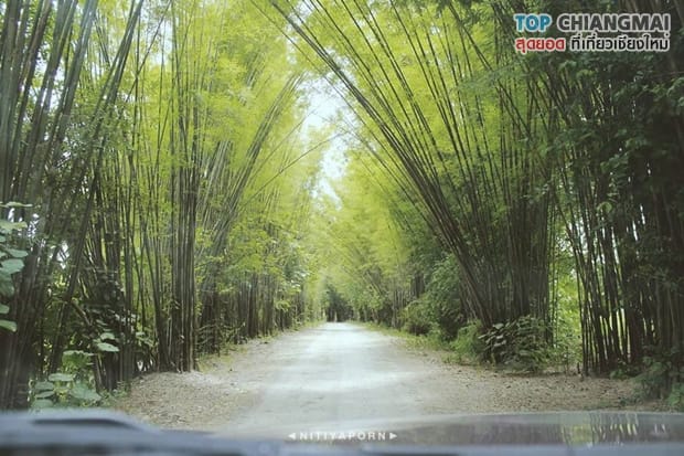 พิพิธภัณฑ์บ้านไร่ไผ่งาม - จอมทอง (1)