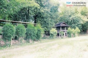 พิพิธภัณฑ์บ้านไร่ไผ่งาม - จอมทอง (6)