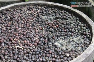 พิพิธภัณฑ์บ้านไร่ไผ่งาม - เมืองจอมทอง (15)