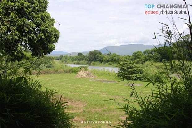 พิพิธภัณฑ์บ้านไร่ไผ่งาม - เมืองจอมทอง (18)