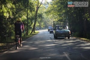 ม่อนแจ่ม - แม่ริม (1)