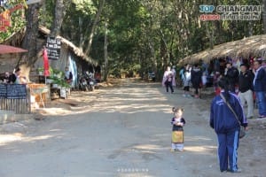 ม่อนแจ่ม - แม่ริม (12)