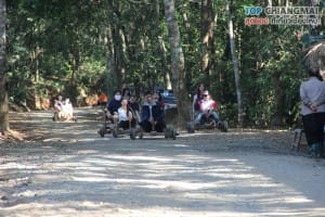 ม่อนแจ่ม - แม่ริม (14)