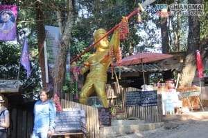 ม่อนแจ่ม - แม่ริม (20)