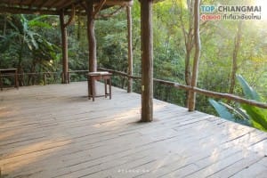 ร้านชมนก ชมไม้ - แม่กำปอง (20)