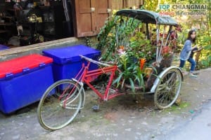 ร้านชมนก ชมไม้ - แม่กำปอง (3)