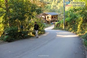 ร้านชมนก ชมไม้ - แม่กำปอง (5)