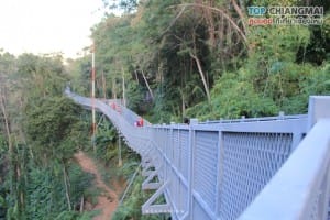 สวนพฤกษศาสตร์ - แม่ริม (13)
