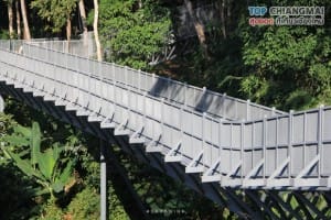 สวนพฤกษศาสตร์ - แม่ริม (23)