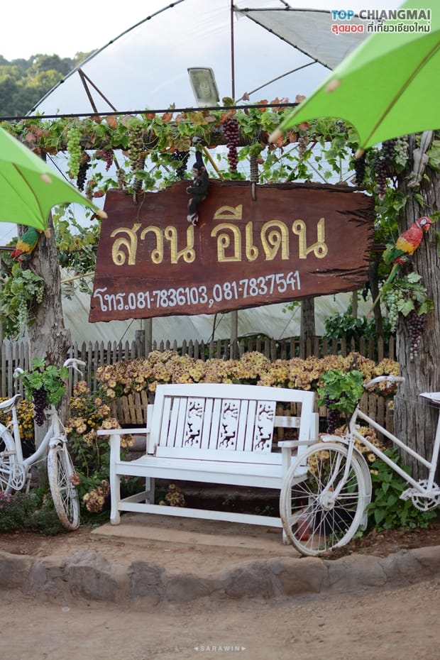 สวนอีเดน - แม่ริม (13)