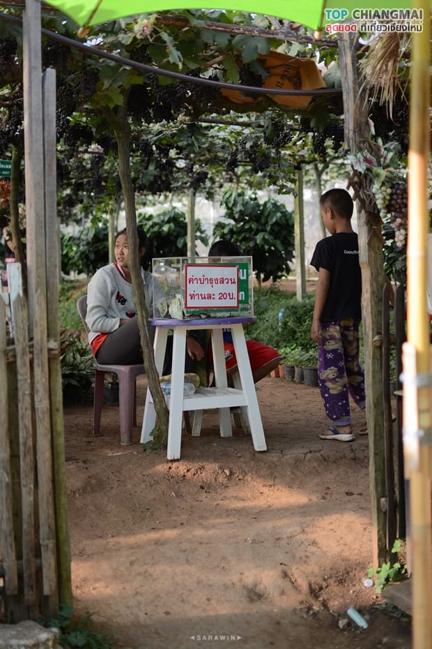 สวนอีเดน - แม่ริม (3)