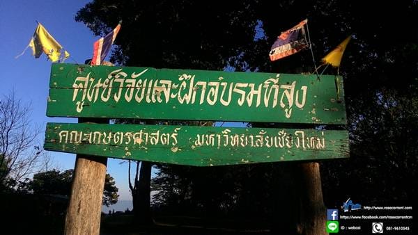 สันป่าเกี๊ยะ (14)