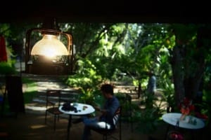 หลงป่า - แม่ริม (11)