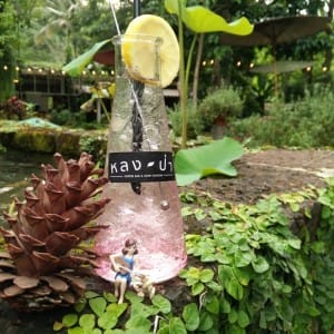หลงป่า - แม่ริม (24)