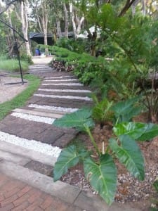 หลงป่า - แม่ริม (6)