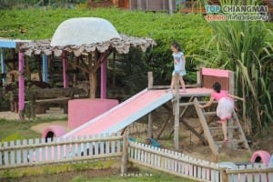 ไร่วงค์วาน - สะเมิง (15)