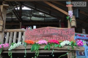ไร่วงค์วาน - สะเมิง (20)