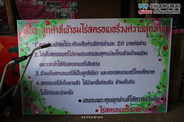 ไร่วงค์วาน - สะเมิง (22)