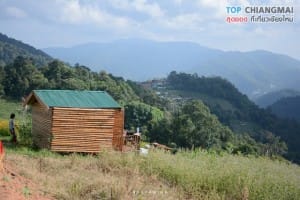 ไร่สตรอเบอรี่ ไซ เฮง - แม่ริม (1)
