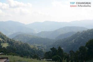 ไร่สตรอเบอรี่ ไซ เฮง - แม่ริม (16)