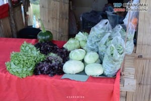 ไร่สตรอเบอรี่ ไซ เฮง - แม่ริม (17)