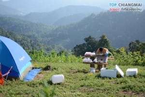 ไร่สตรอเบอรี่ ไซ เฮง - แม่ริม (19)