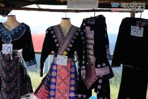 ไร่สตรอเบอรี่ ไซ เฮง - แม่ริม (4)