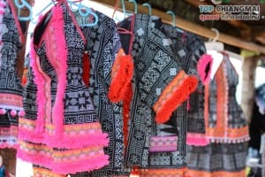 ไร่สตรอเบอรี่ ไซ เฮง - แม่ริม (5)