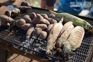 ไร่สตรอเบอรี่ ไซ เฮง - แม่ริม (7)