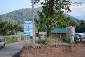 ไร่สตรอเบอรี่ ไซ เฮง - แม่ริม (8)
