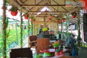 ไร่สตรอเบอรี่ข้องหลวง - สะเมิง (1)