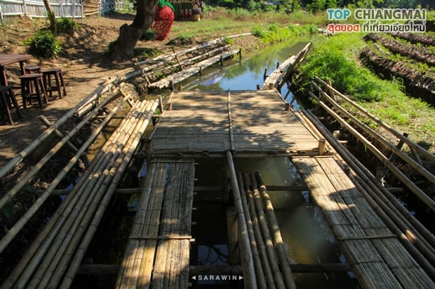 ไร่สตรอเบอรี่ข้องหลวง - สะเมิง (12)