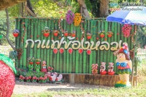 ไร่สตรอเบอรี่ข้องหลวง - สะเมิง (13)