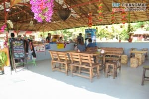 ไร่สตรอเบอรี่ข้องหลวง - สะเมิง (17)