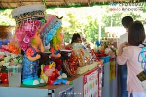 ไร่สตรอเบอรี่ข้องหลวง - สะเมิง (18)