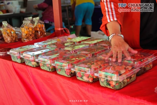 ไร่สตรอเบอรี่ข้องหลวง - สะเมิง (9)