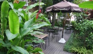 wawee-chiangmai (6)